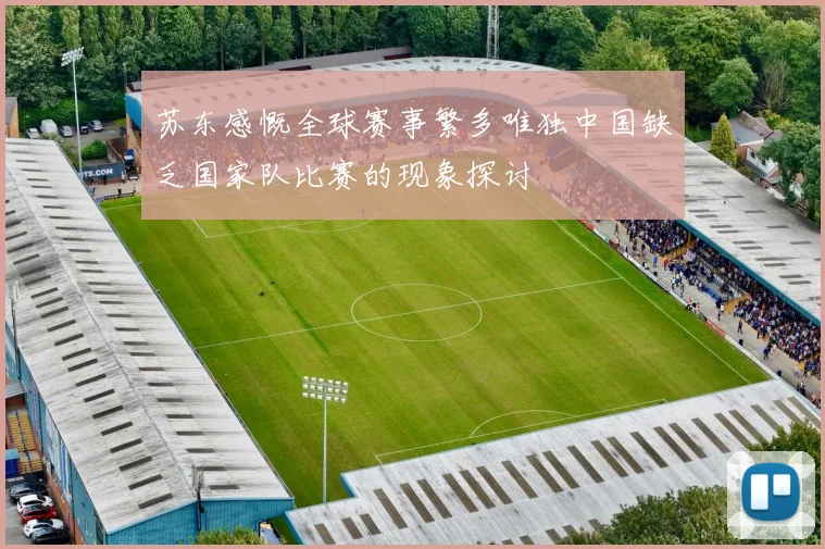 苏东感慨全球赛事繁多唯独中国缺乏国家队比赛的现象探讨