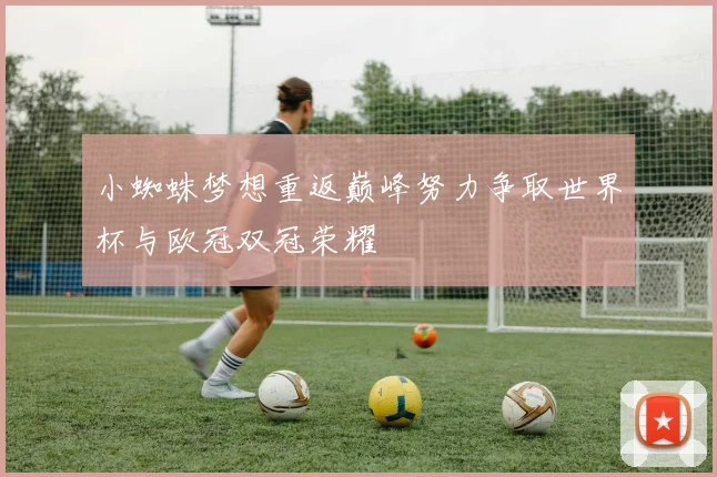 小蜘蛛梦想重返巅峰努力争取世界杯与欧冠双冠荣耀
